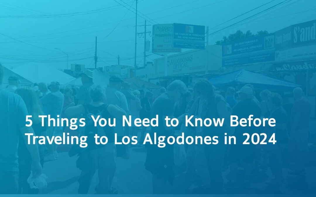 5 Things You Need to Know Before Traveling to Los Algodones in 2024