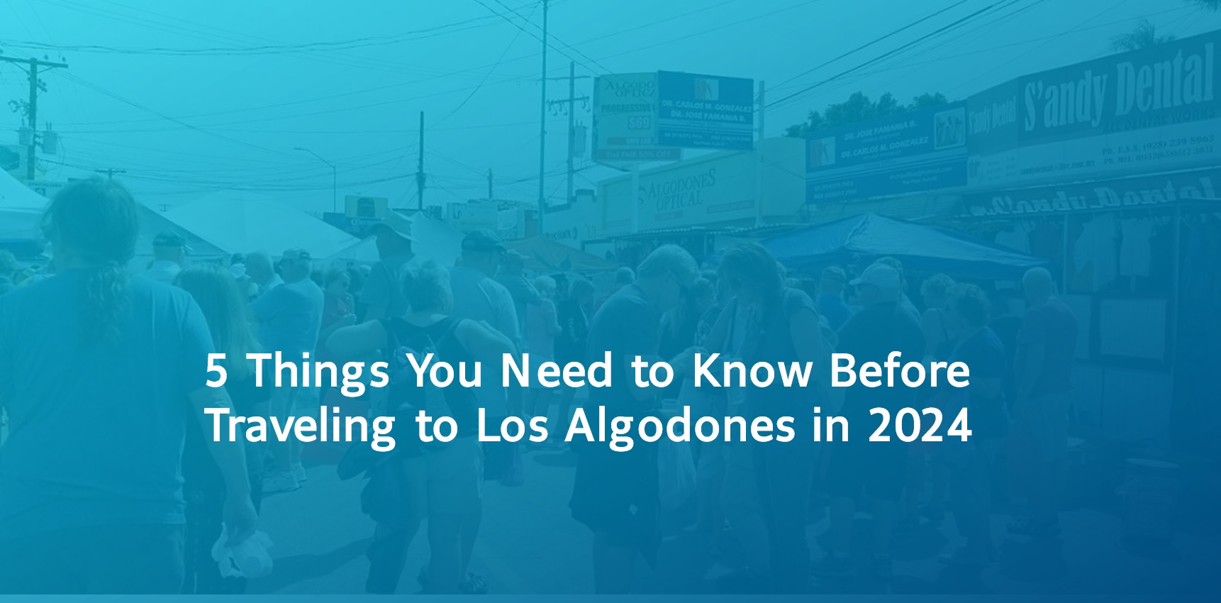 5 Things You Need to Know Before Traveling to Los Algodones in 2024